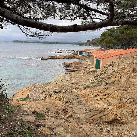T2 Climatise A L'Ile D'Or Avec Piscine Pres De La Plage La Londe-les-Maures Buitenkant foto